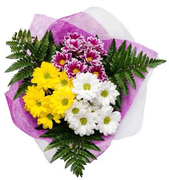 95 Желтых Кустовых Хризантем